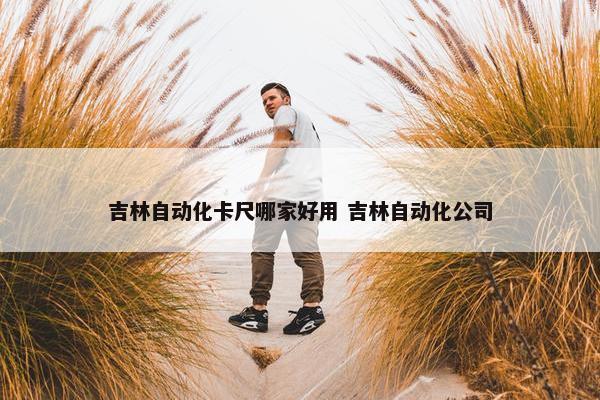 吉林自动化卡尺哪家好用 吉林自动化公司