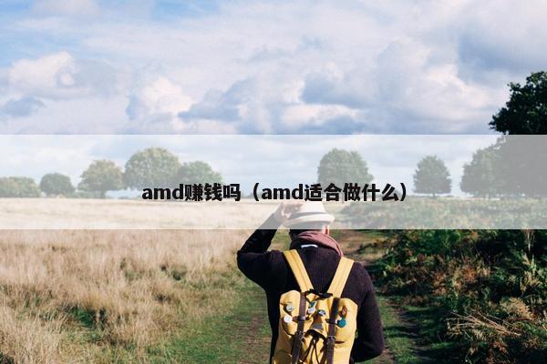 amd赚钱吗（amd适合做什么）