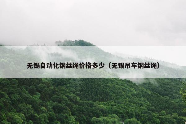 无锡自动化钢丝绳价格多少（无锡吊车钢丝绳）