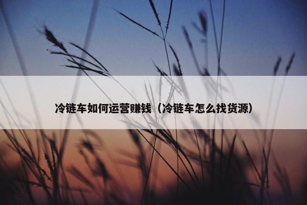 冷链车如何运营赚钱（冷链车怎么找货源）