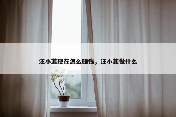 汪小菲现在怎么赚钱，汪小菲做什么