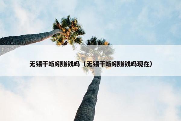 无锡干蚯蚓赚钱吗（无锡干蚯蚓赚钱吗现在）