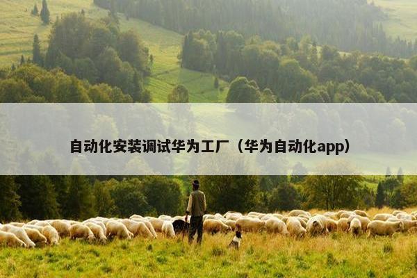 自动化安装调试华为工厂（华为自动化app）