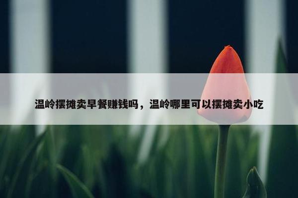 温岭摆摊卖早餐赚钱吗，温岭哪里可以摆摊卖小吃