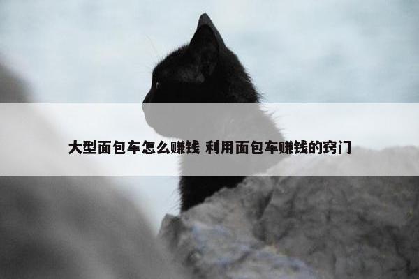 大型面包车怎么赚钱 利用面包车赚钱的窍门