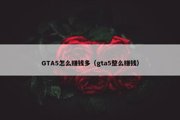 GTA5怎么赚钱多（gta5整么赚钱）