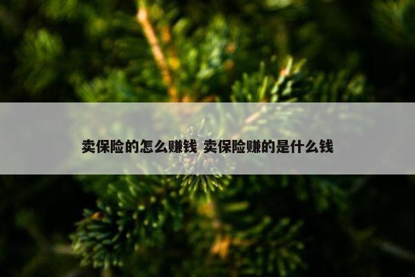 卖保险的怎么赚钱 卖保险赚的是什么钱