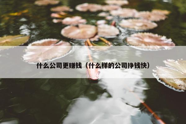 什么公司更赚钱（什么样的公司挣钱快）