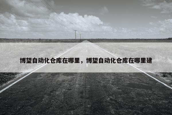 博望自动化仓库在哪里，博望自动化仓库在哪里建