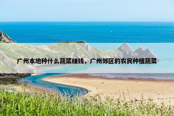 广州本地种什么蔬菜赚钱，广州郊区的农民种植蔬菜