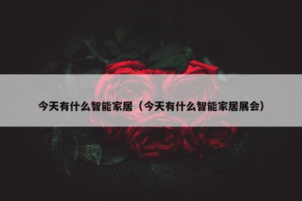 今天有什么智能家居（今天有什么智能家居展会）