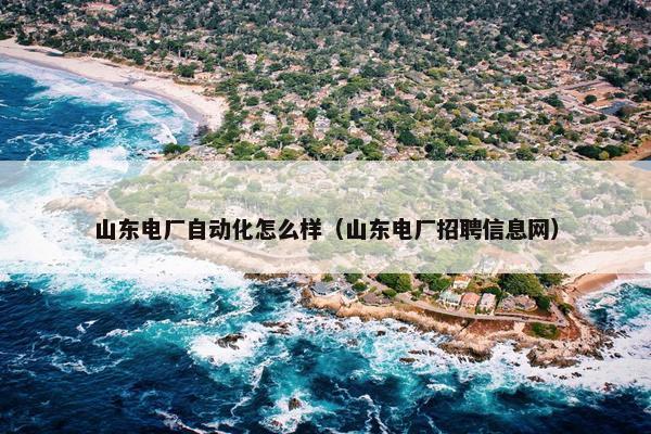 山东电厂自动化怎么样（山东电厂招聘信息网）