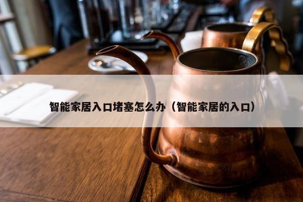 智能家居入口堵塞怎么办（智能家居的入口）