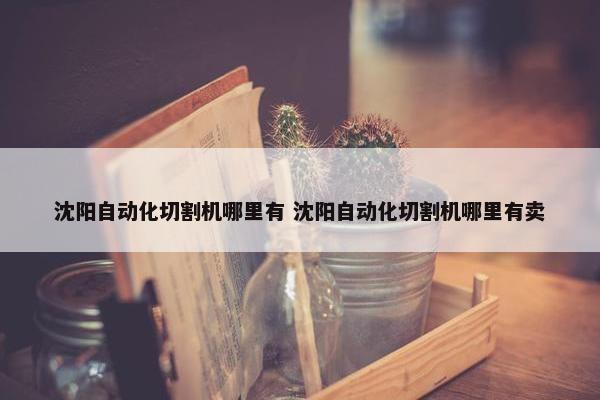 沈阳自动化切割机哪里有 沈阳自动化切割机哪里有卖