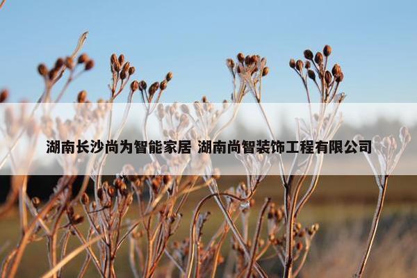 湖南长沙尚为智能家居 湖南尚智装饰工程有限公司