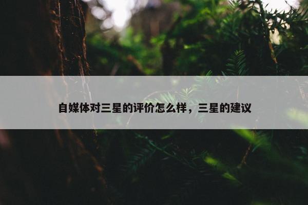 自媒体对三星的评价怎么样，三星的建议