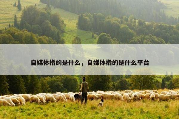 自媒体指的是什么，自媒体指的是什么平台