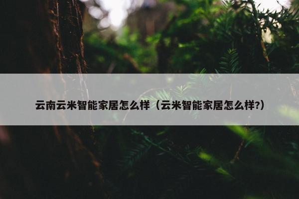 云南云米智能家居怎么样（云米智能家居怎么样?）