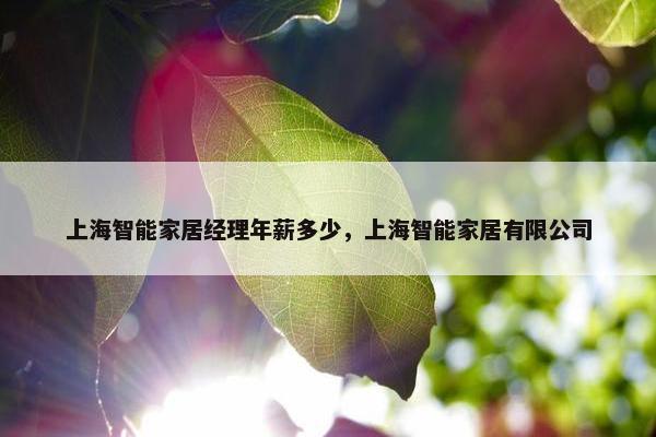 上海智能家居经理年薪多少，上海智能家居有限公司