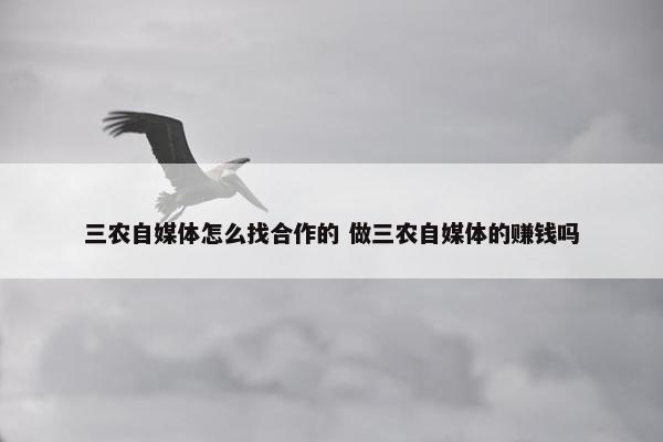 三农自媒体怎么找合作的 做三农自媒体的赚钱吗