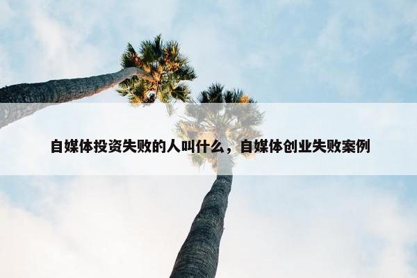 自媒体投资失败的人叫什么，自媒体创业失败案例