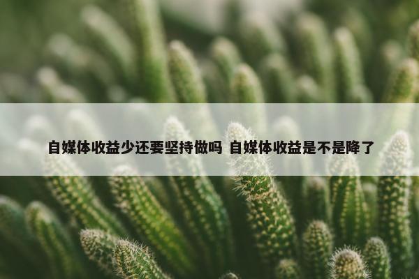 自媒体收益少还要坚持做吗 自媒体收益是不是降了