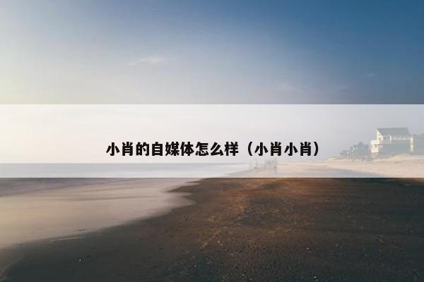 小肖的自媒体怎么样（小肖小肖）