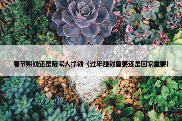 春节赚钱还是陪家人挣钱（过年赚钱重要还是回家重要）