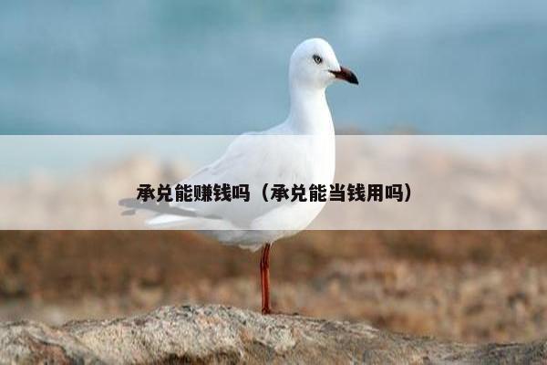 承兑能赚钱吗（承兑能当钱用吗）