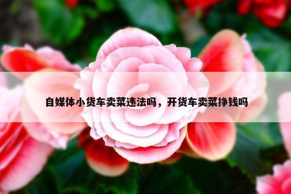 自媒体小货车卖菜违法吗，开货车卖菜挣钱吗