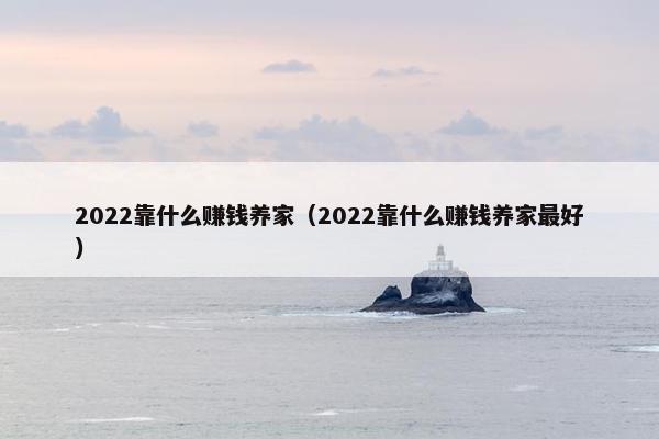 2022靠什么赚钱养家（2022靠什么赚钱养家最好）