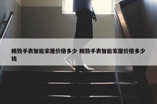 精致手表智能家居价格多少 精致手表智能家居价格多少钱