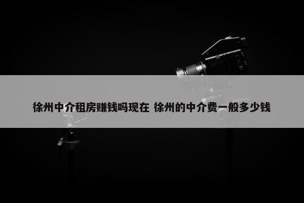 徐州中介租房赚钱吗现在 徐州的中介费一般多少钱