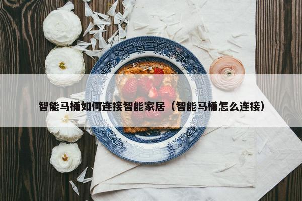 智能马桶如何连接智能家居（智能马桶怎么连接）