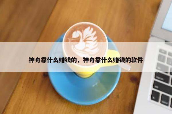 神舟靠什么赚钱的，神舟靠什么赚钱的软件