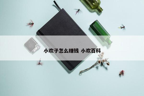 小欢子怎么赚钱 小欢百科