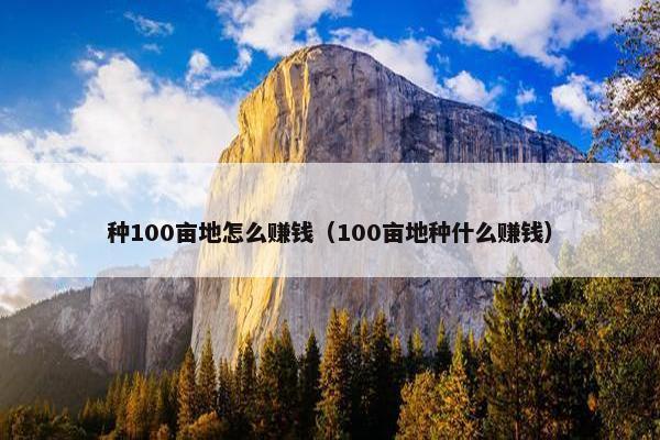 种100亩地怎么赚钱（100亩地种什么赚钱）