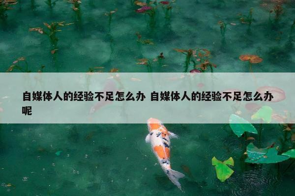 自媒体人的经验不足怎么办 自媒体人的经验不足怎么办呢