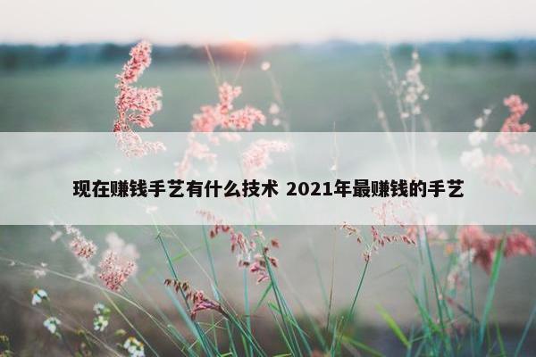 现在赚钱手艺有什么技术 2021年最赚钱的手艺