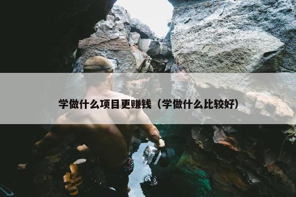 学做什么项目更赚钱（学做什么比较好）