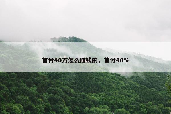 首付40万怎么赚钱的，首付40%