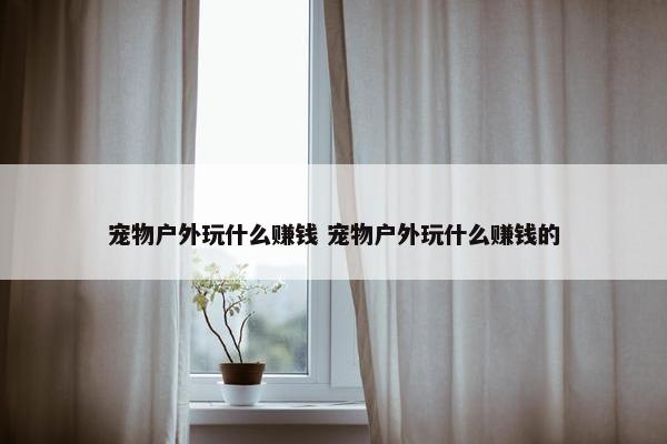 宠物户外玩什么赚钱 宠物户外玩什么赚钱的