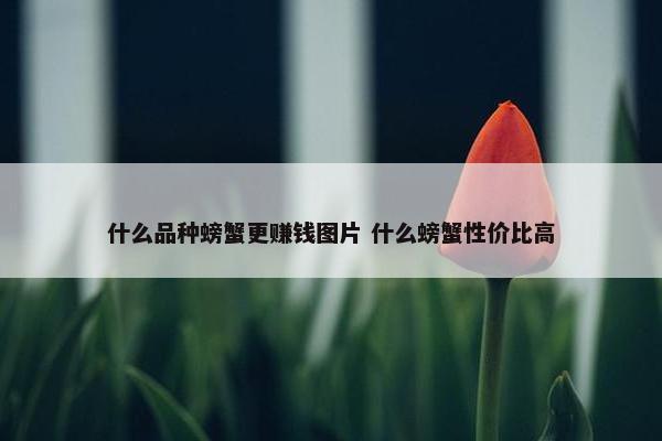 什么品种螃蟹更赚钱图片 什么螃蟹性价比高