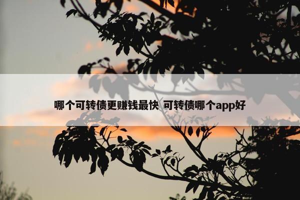 哪个可转债更赚钱最快 可转债哪个app好