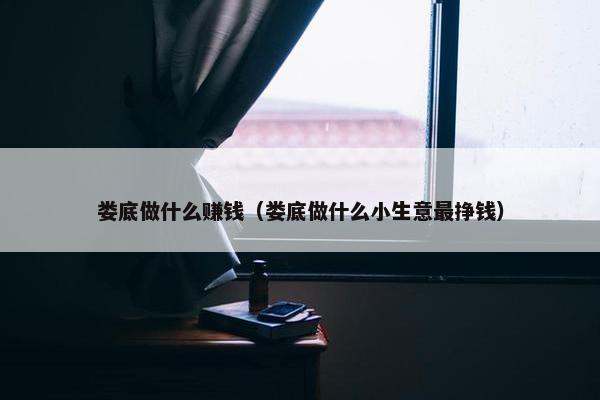 娄底做什么赚钱（娄底做什么小生意最挣钱）