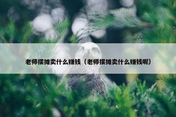 老师摆摊卖什么赚钱（老师摆摊卖什么赚钱呢）