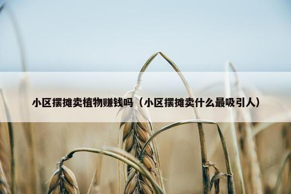 小区摆摊卖植物赚钱吗（小区摆摊卖什么最吸引人）