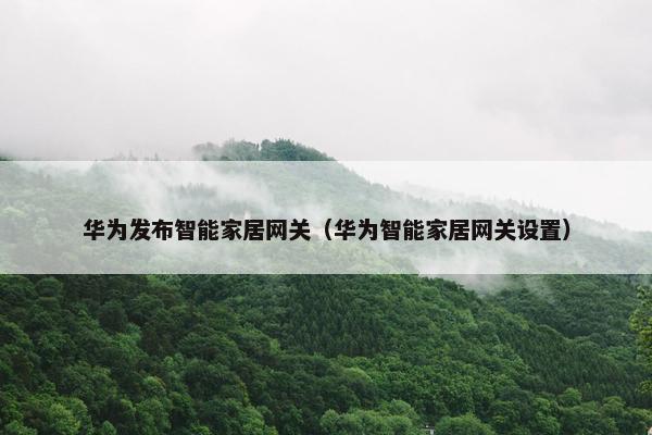 华为发布智能家居网关（华为智能家居网关设置）