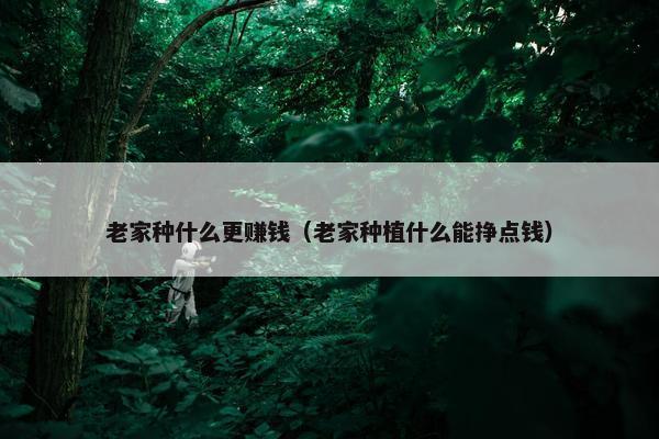 老家种什么更赚钱（老家种植什么能挣点钱）