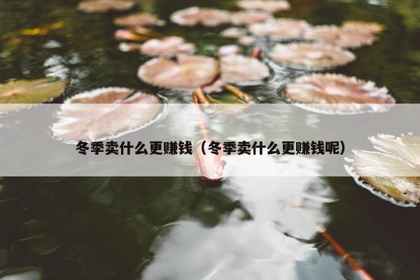 冬季卖什么更赚钱（冬季卖什么更赚钱呢）